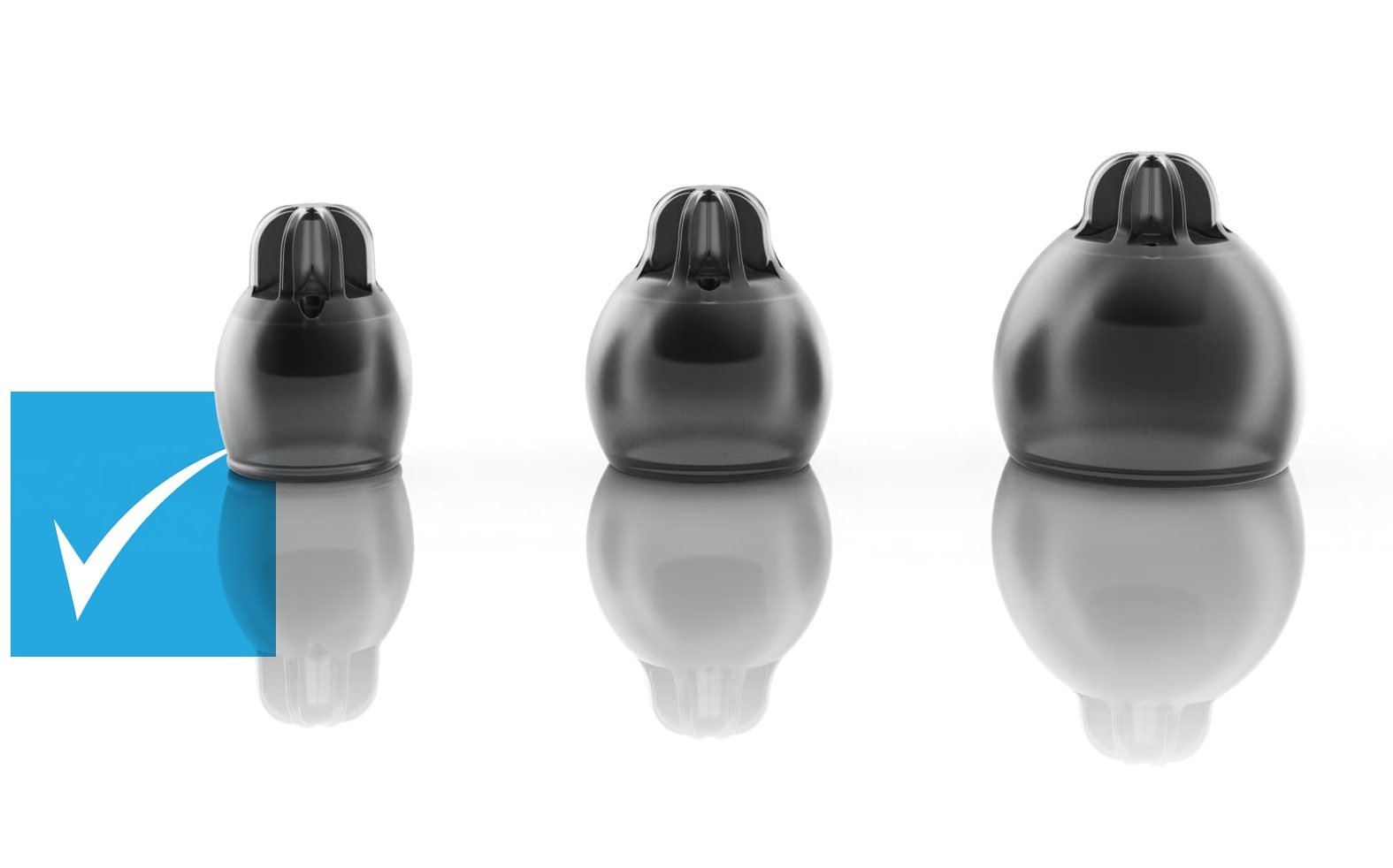 Phonak Hearing Aid EasyGuard Domes